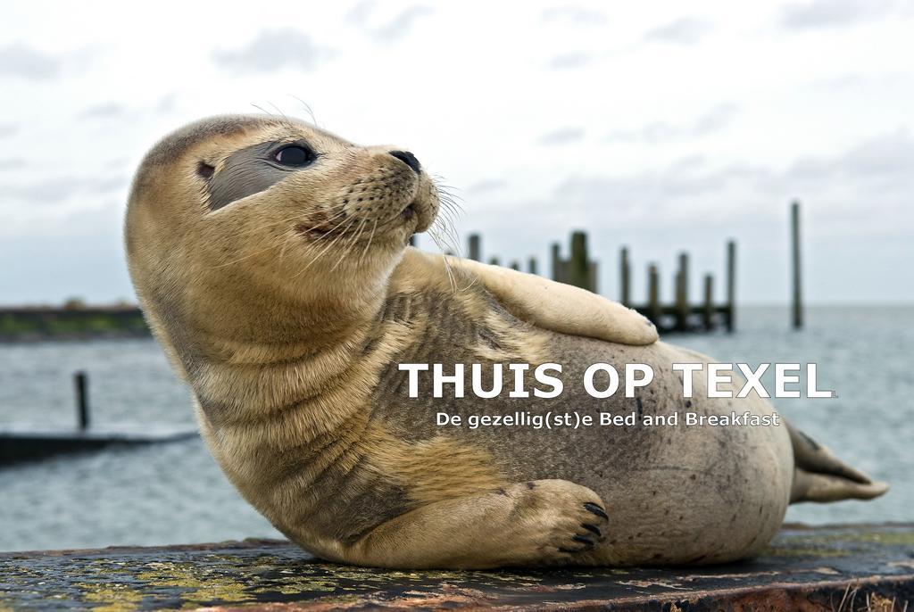 Thuis Op Texel Alojamento de Acomodação e Pequeno-almoço